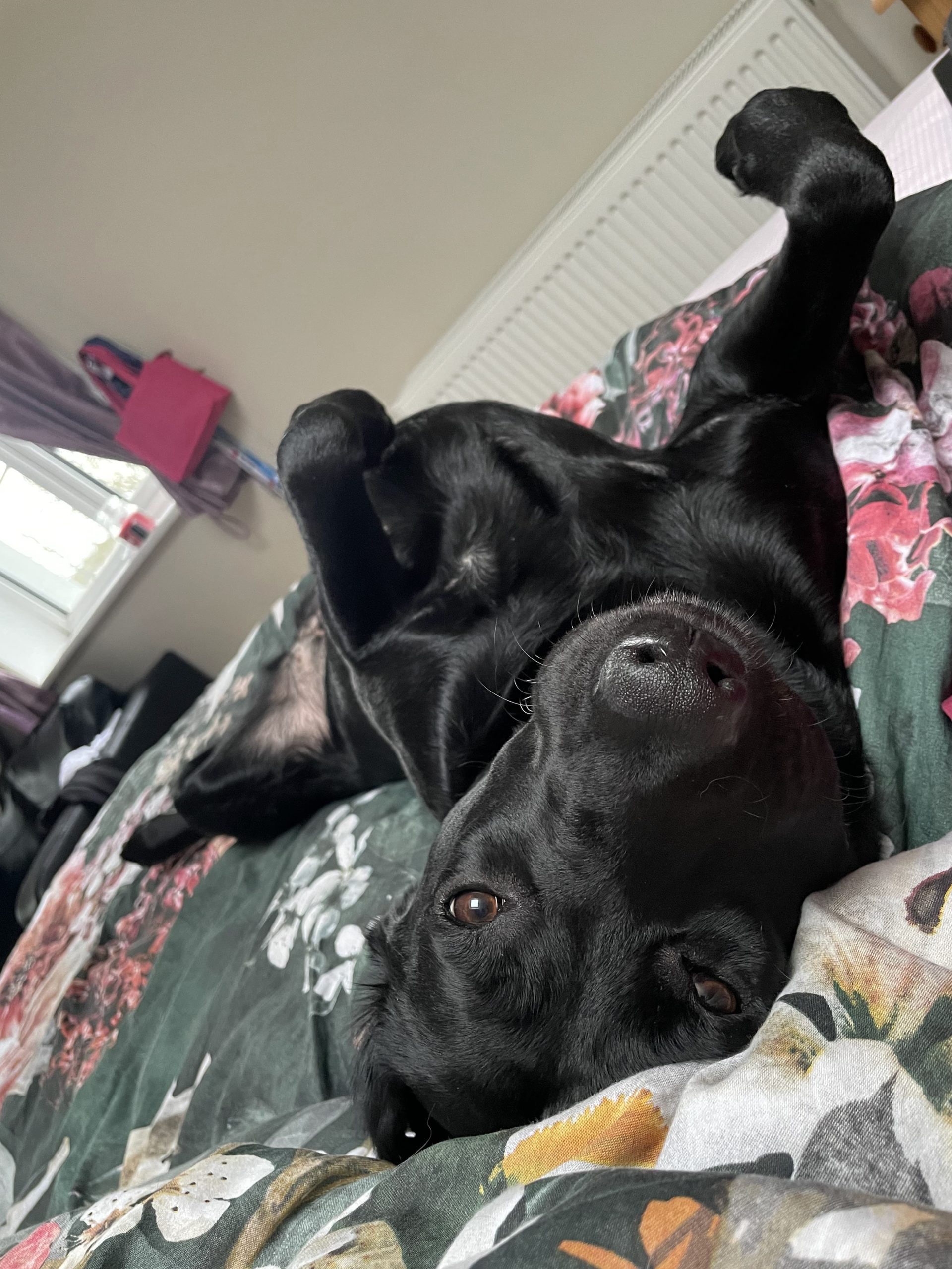 WhatsApp Image 2024-07-28 at 14.30.20_5cf4cb83